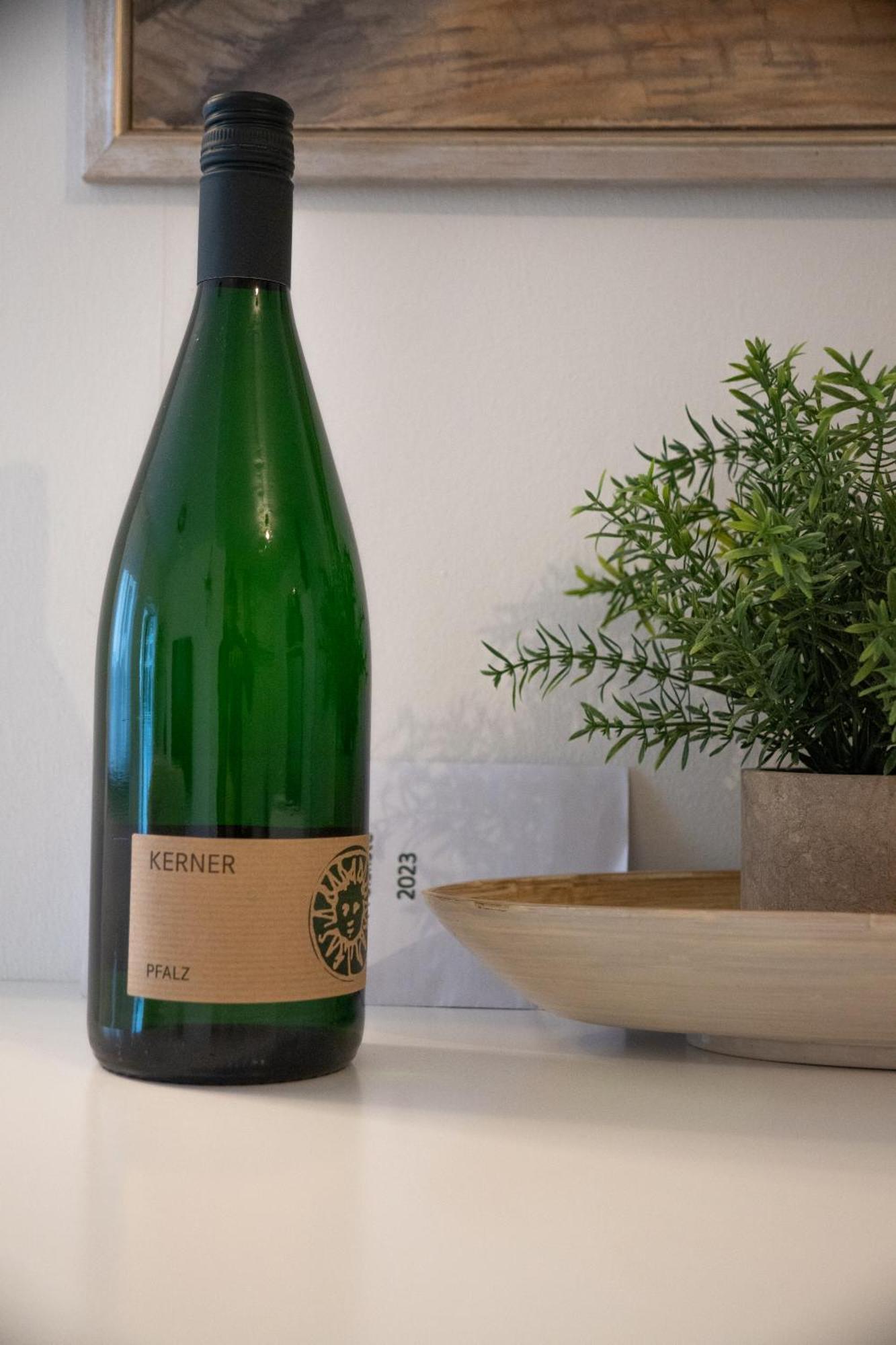 Ferienwohnung Vinodino Neustadt an der Weinstraße Εξωτερικό φωτογραφία